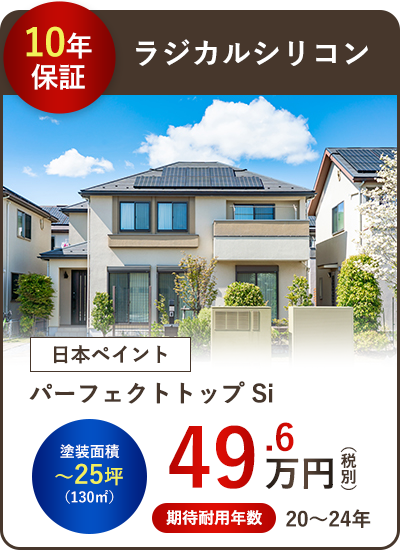 ラジカルシリコン